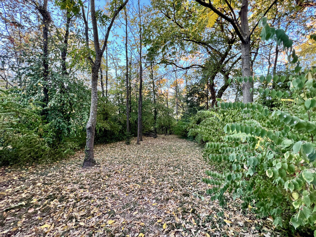 Secluded private forest - 5 mins. from downtown. - 2028 Bristow St