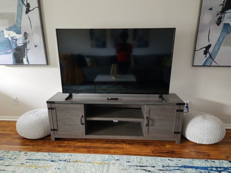 Living Room TV - 4710 Montclair Hill Ln