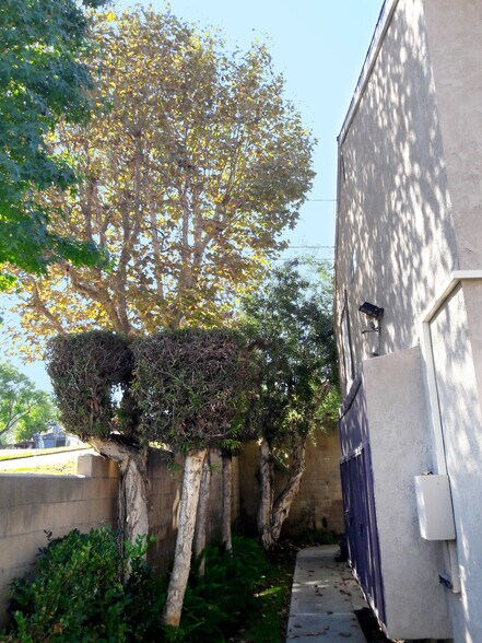 Pathway entrance - 2339 Lillyvale Ave