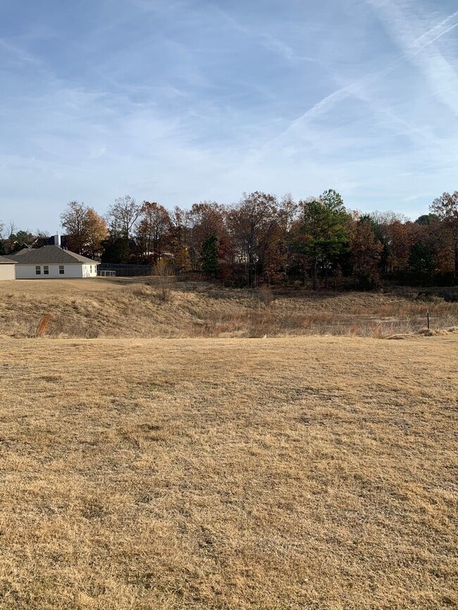 Building Photo - Nice New Construction in Valley View 3bed/2bath