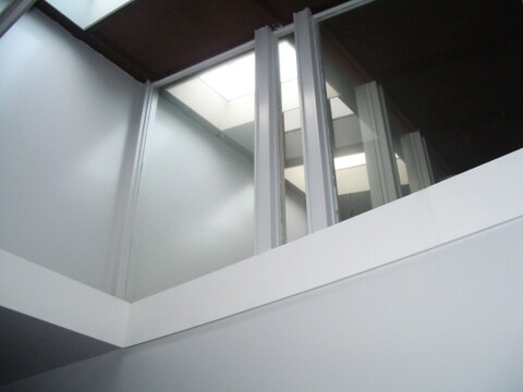 Skylights - 412 E Liberty St