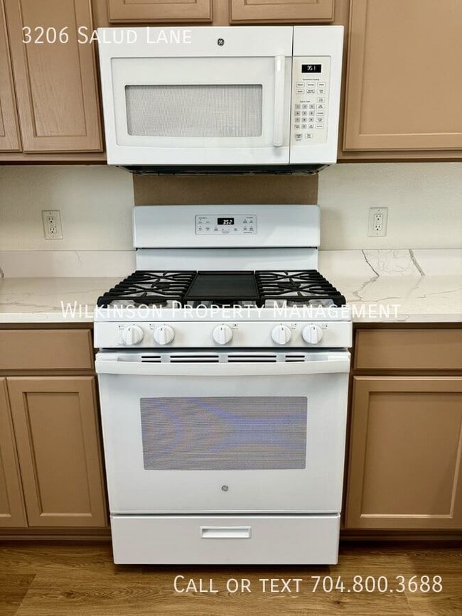 Building Photo - 3206 Salud Ln