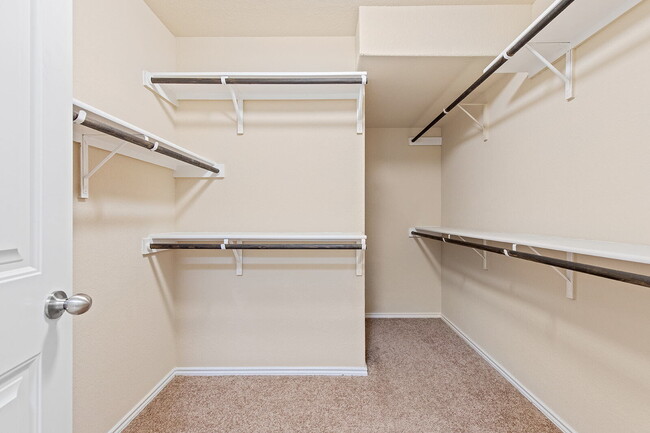 Building Photo - "Spacious 4-Bedroom Retreat in Schertz with 2.5 Baths!"