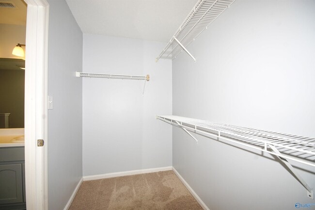 Building Photo - 145 Brass Oak Dr