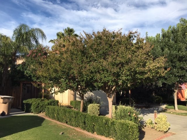 Building Photo - Silvercreek beauty. Come make this beautif...