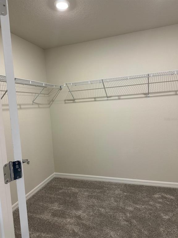 Building Photo - 3444 Haven Side Rd