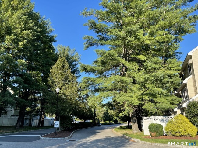 Building Photo - 237 Willow Springs