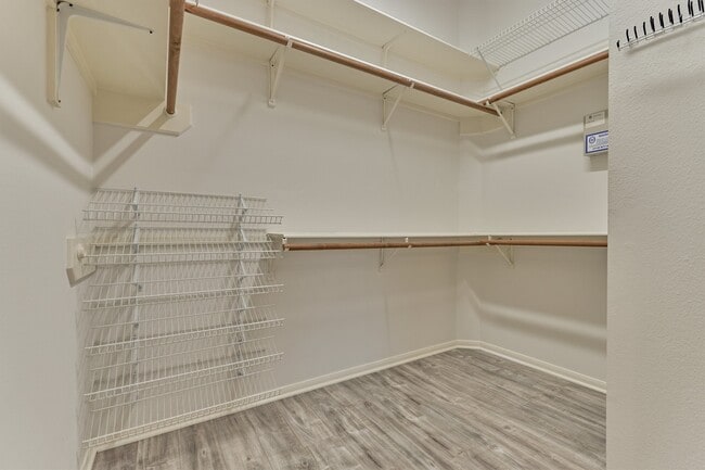 Building Photo - 51 S Crossed Birch Pl