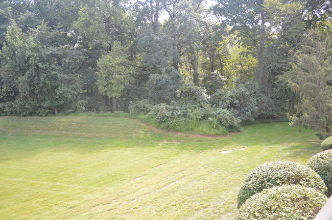 View from deck - 379 Westridge Cir