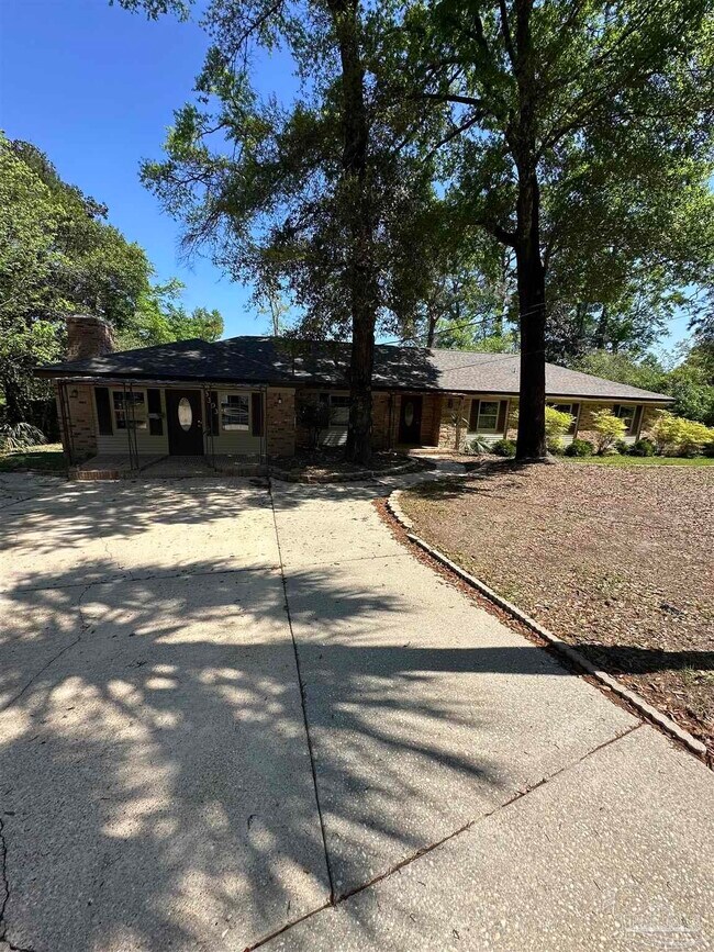 Primary Photo - 5303 Mikes Pl