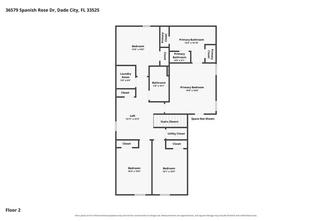 Building Photo - 36579 Spanish Rose Dr