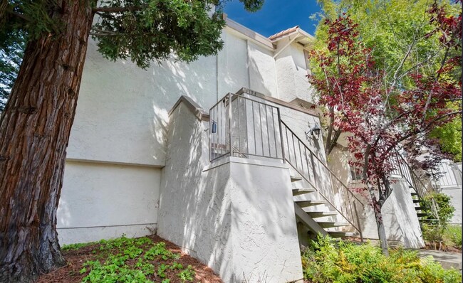 Building Photo - 1173 Capri Dr