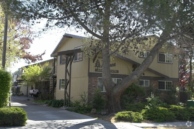 Primary Photo - The Pines Apartments