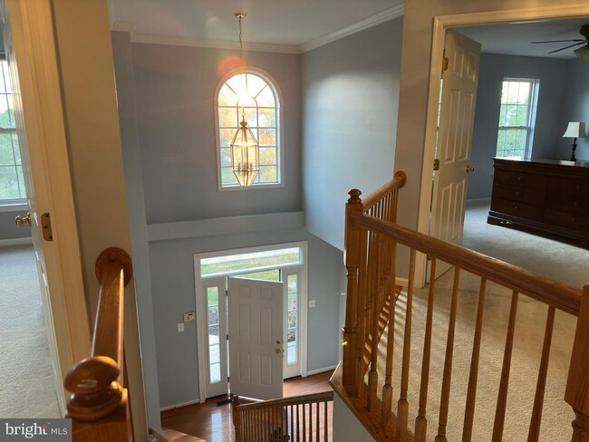 Building Photo - 321 Drake Dr