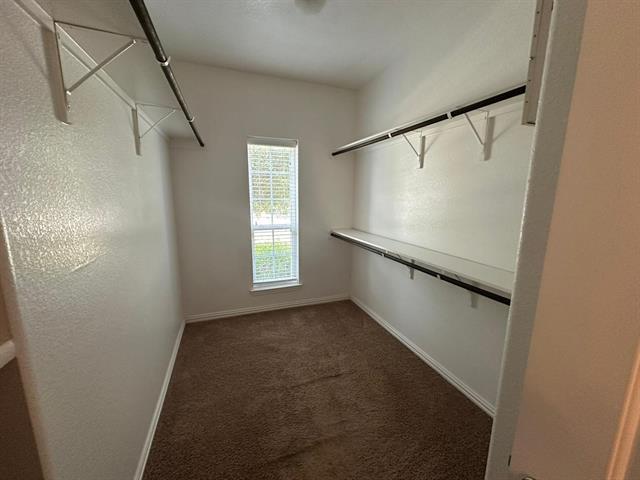 Building Photo - 5660 Domer Dr