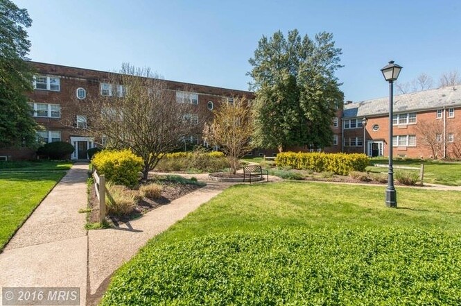 Garden at small condo association with regular social gatherings - 1800 West Abingdon Drive
