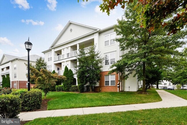 Building Photo - 22611 Blue Elder Terrace