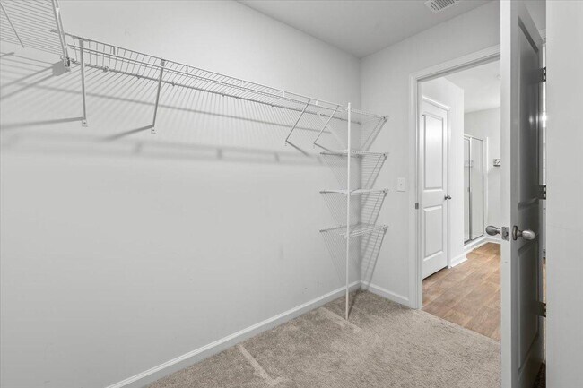 Building Photo - 138 Cotton Bluff Ct