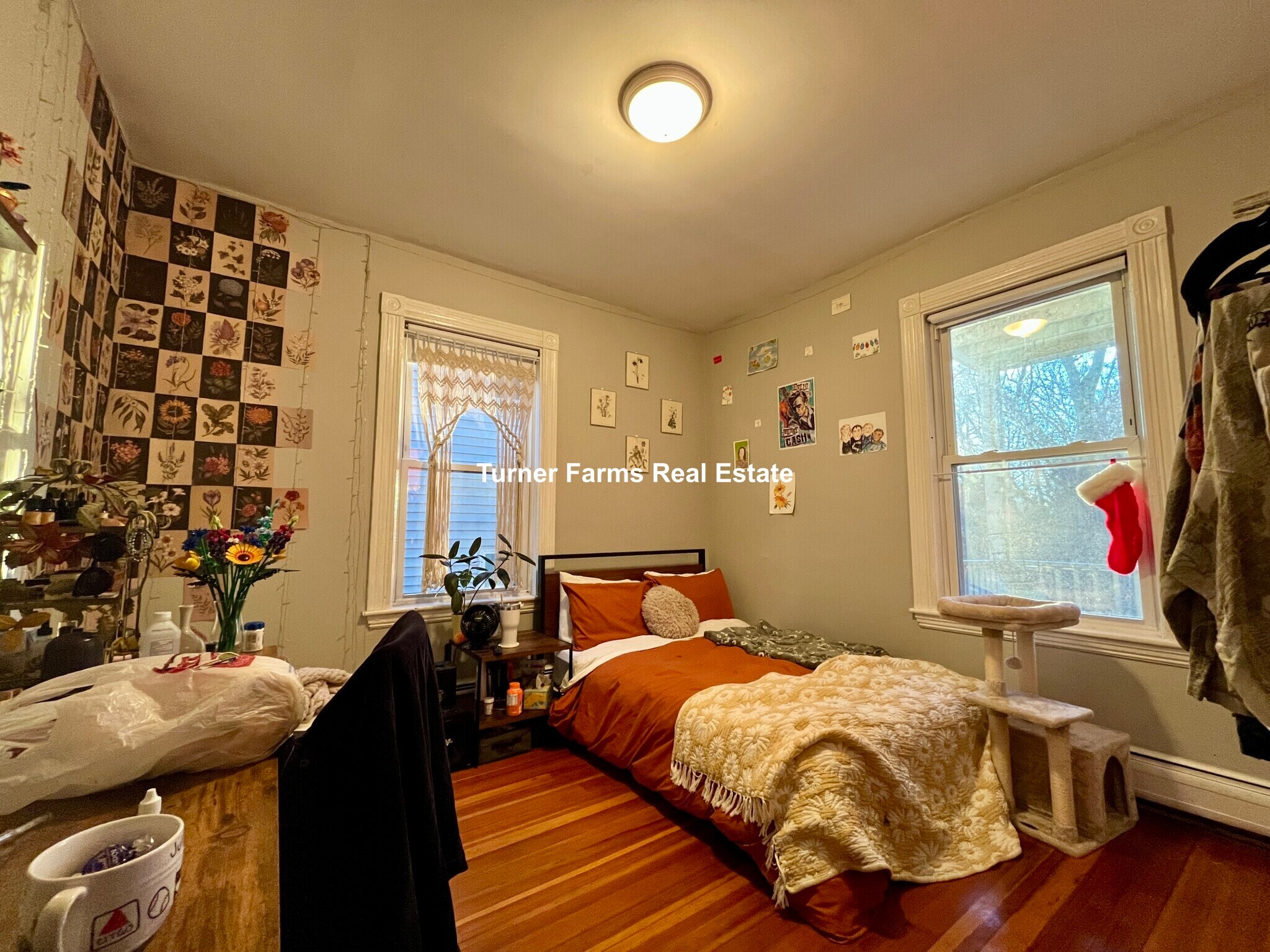 Building Photo - 12 Bucknam St