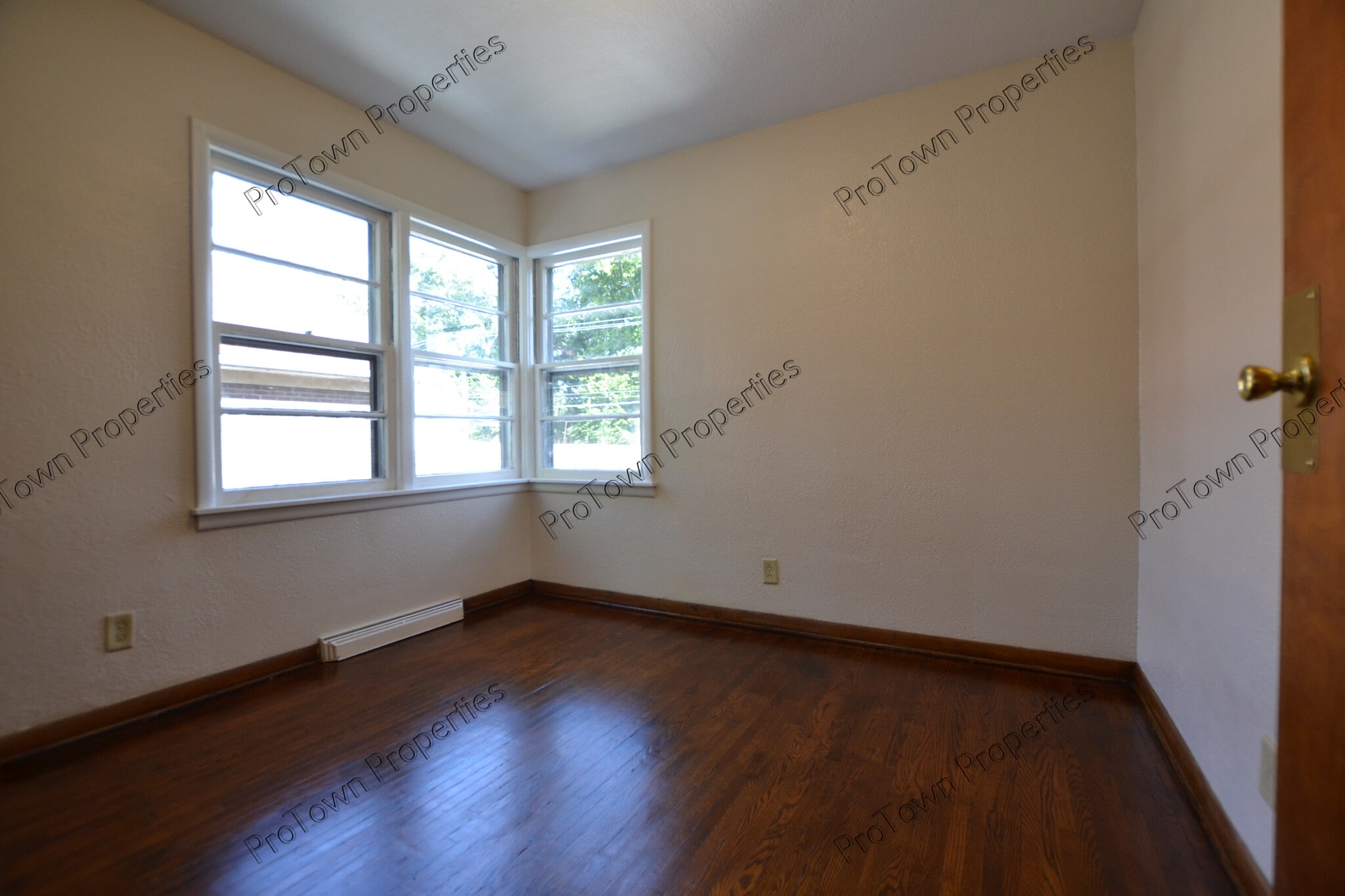 Building Photo - 521 Elmwood Ave