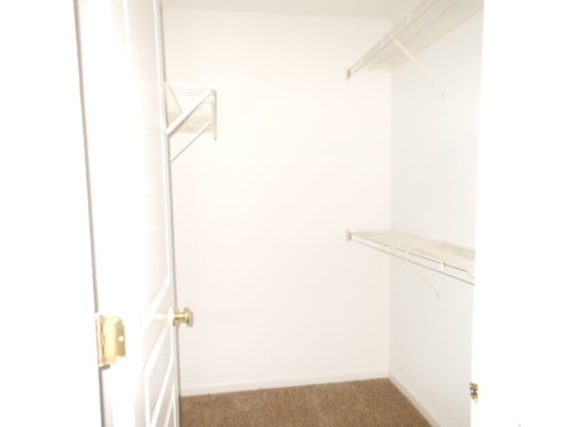 Building Photo - 603 Conservatory Ln