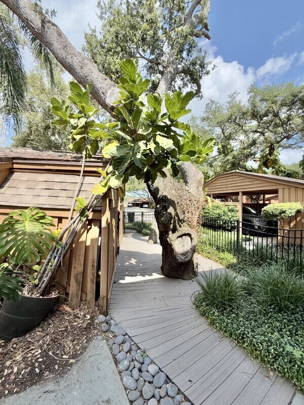 Building Photo - 817 Fairwood Forest Dr