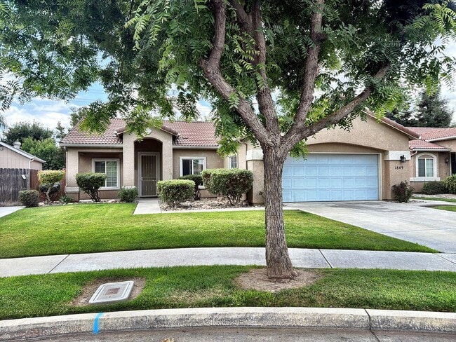 Building Photo - 1849 Malvasia Ave