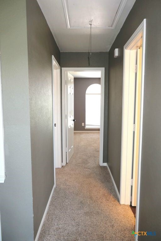 Building Photo - 413 Cattail Cir