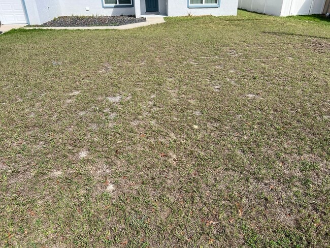 Building Photo - Spacious 3BR/2BA Home in Summerfield – No HOA | Well & Septic
