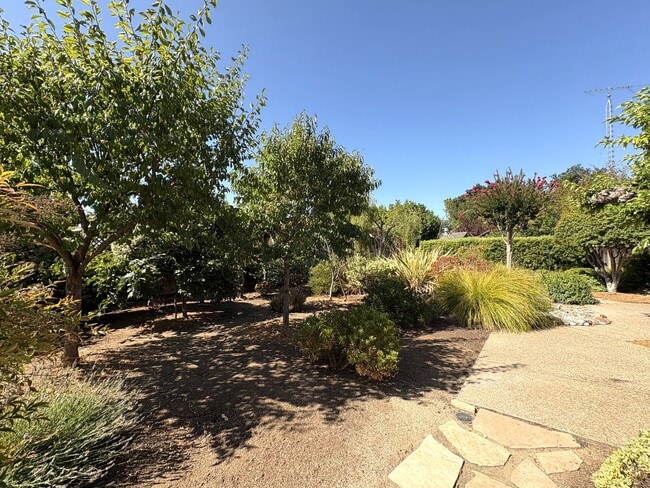 Building Photo - Modern Oasis in the Heart of Los Altos – U...
