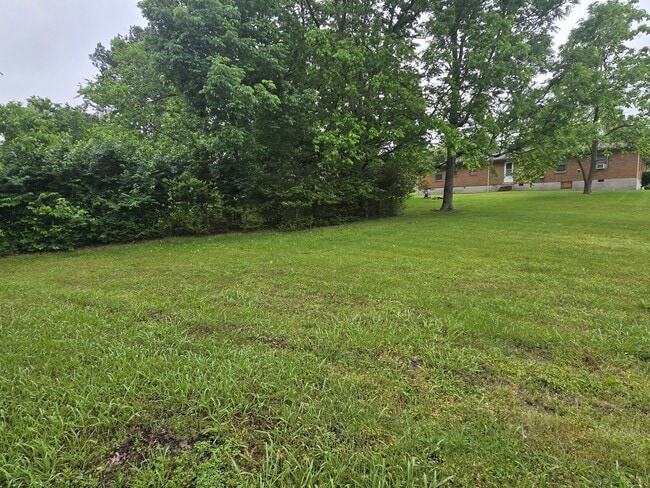 Building Photo - 1645 White Dr