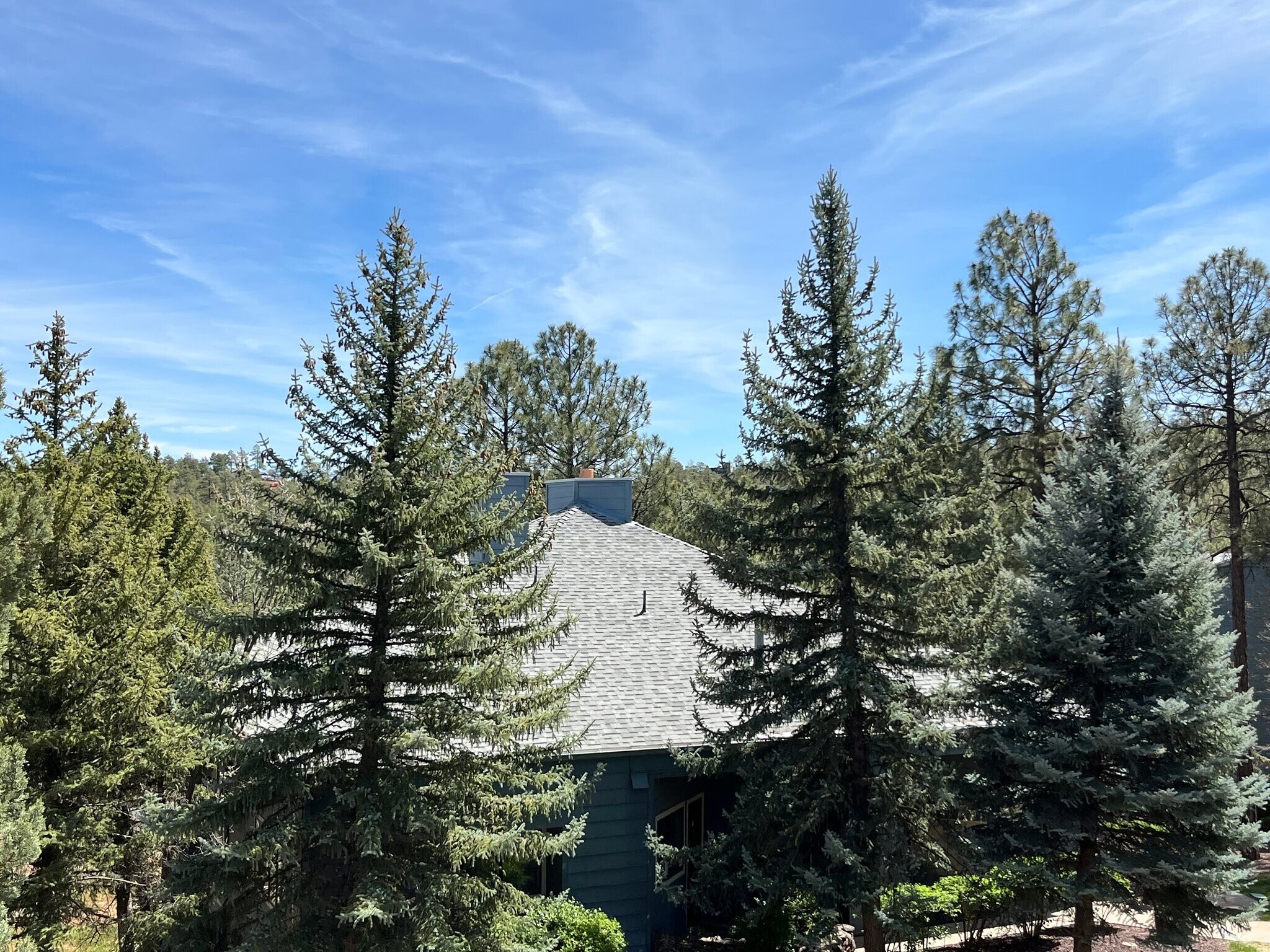 Building Photo - 2700 S White Mountain Rd