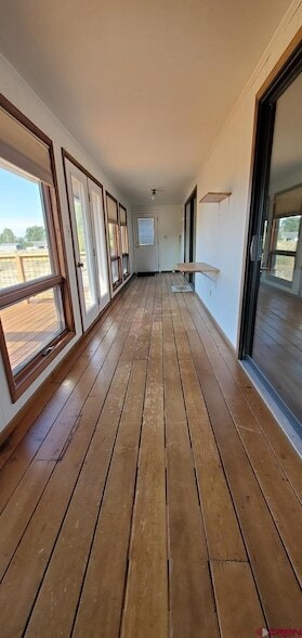 Building Photo - 2305 Pelota Dr