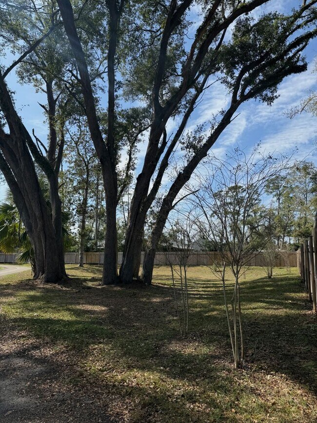 Building Photo - Spring Special! ONE MONTH FREE RENT! Moder...