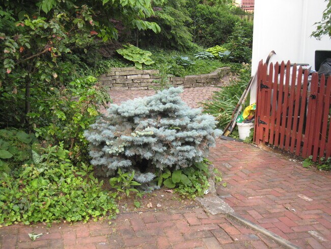 Building Photo - 117 E Sycamore St