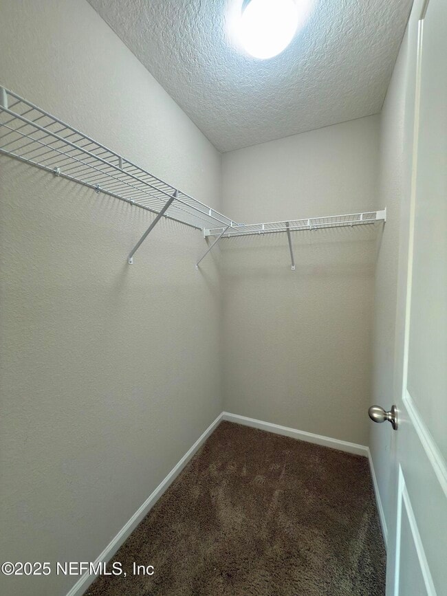 Building Photo - 3079 Greywood Ln