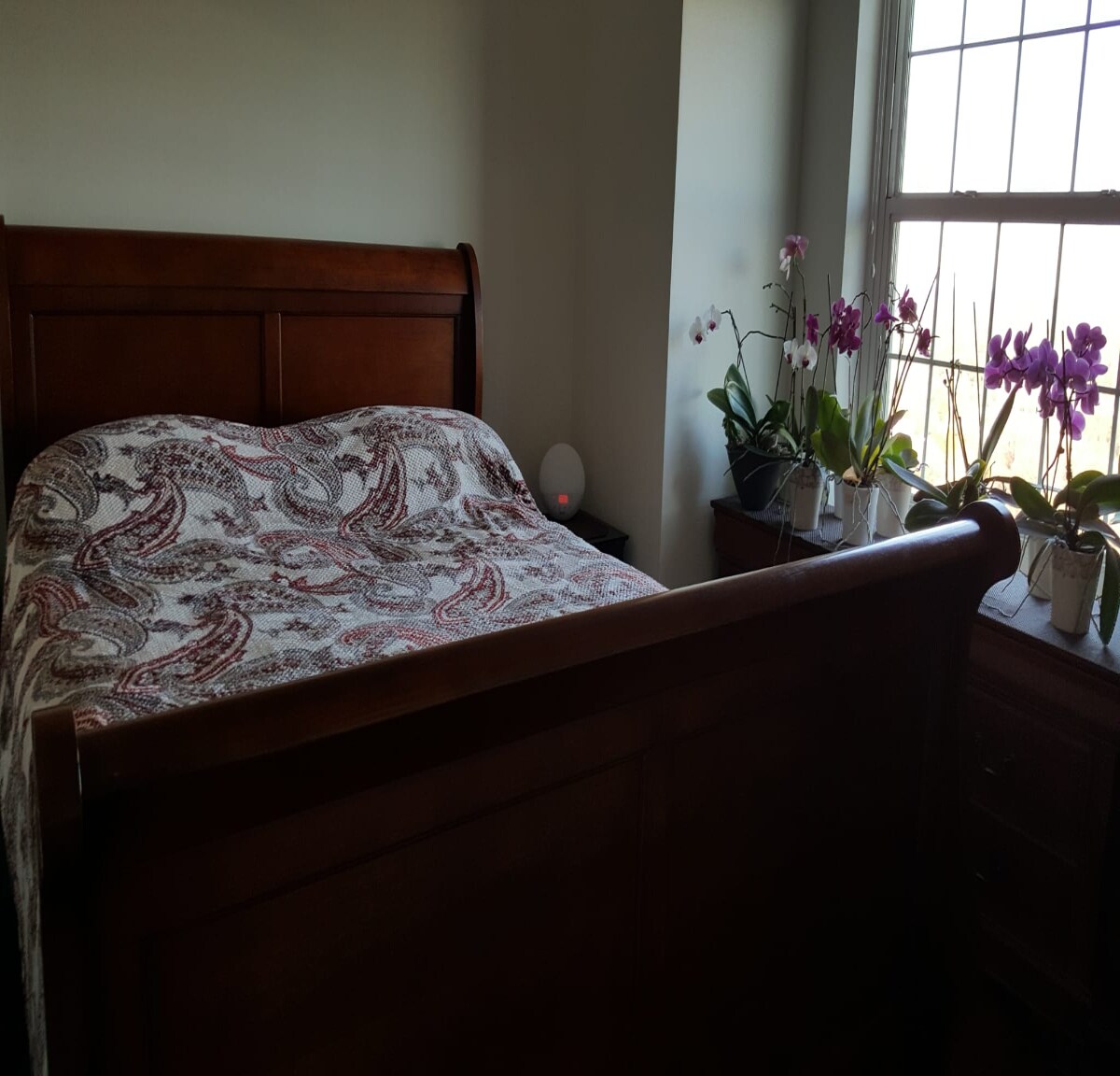 Building Photo - 195 14th St NE