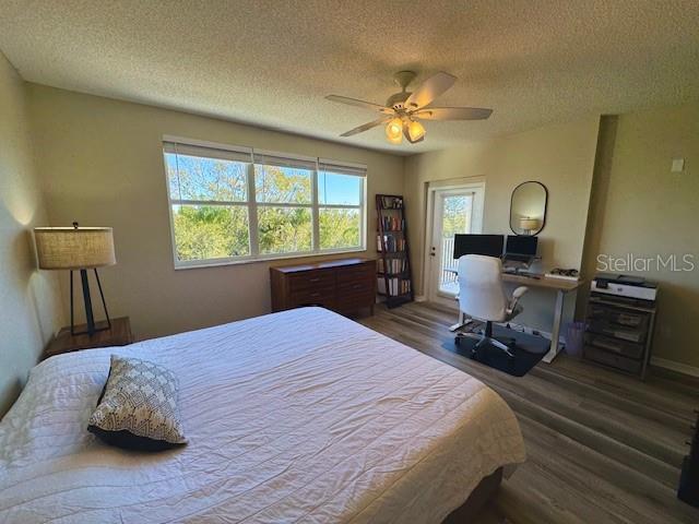 Building Photo - 6251 Shoreline Dr