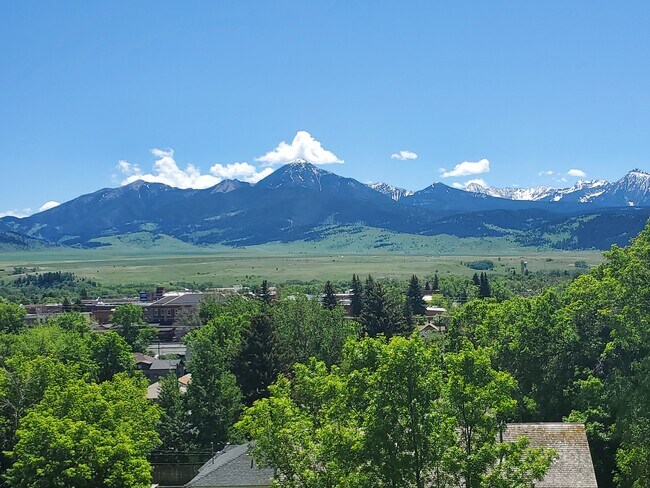 View from the top of the hill - 514 N Yellowstone St