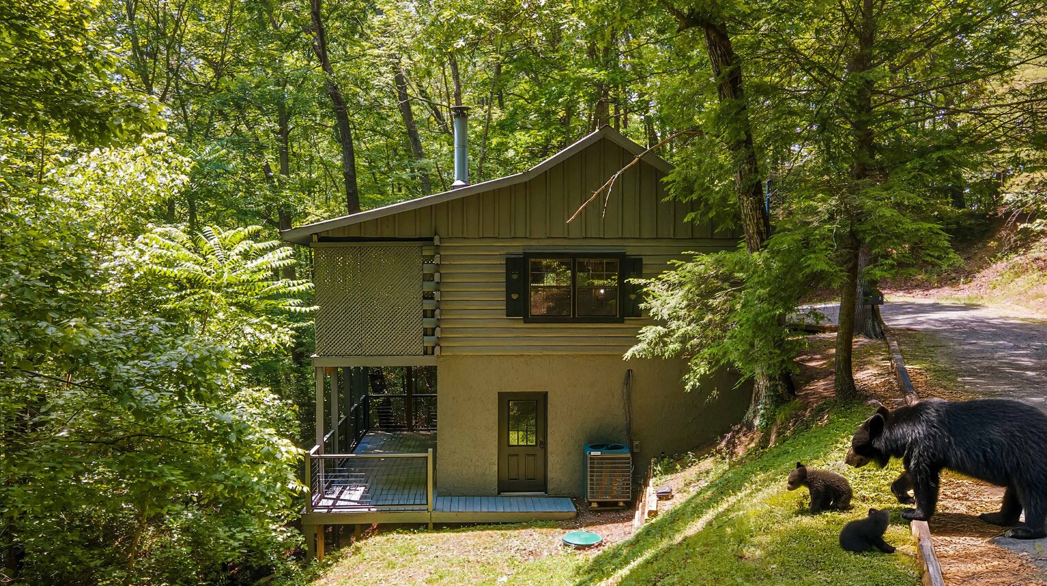 Building Photo - 1727 Oakridge View Ln