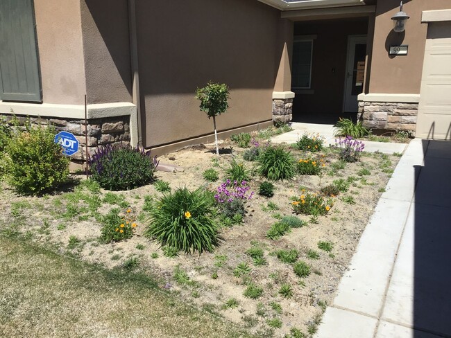 Building Photo - Beautiful 1 Bedroom 1 Bath Home With Al...