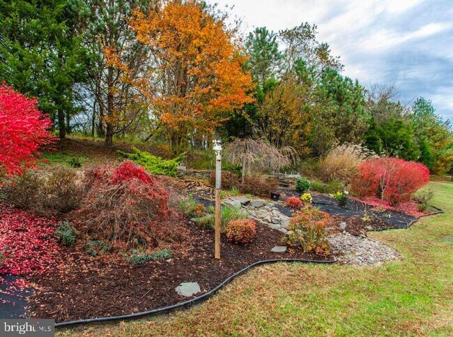 Building Photo - 146 Meadowview Ln