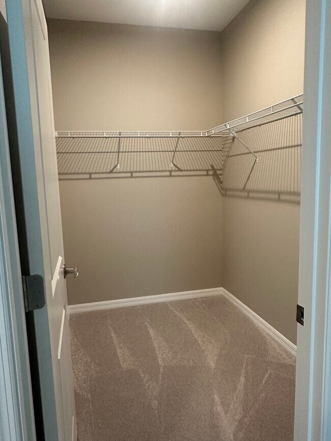 Building Photo - 1300 Plumbago Ct