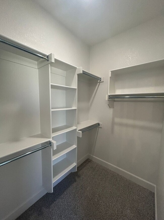 Building Photo - Beautiful Modern Home in Pea Ridge!