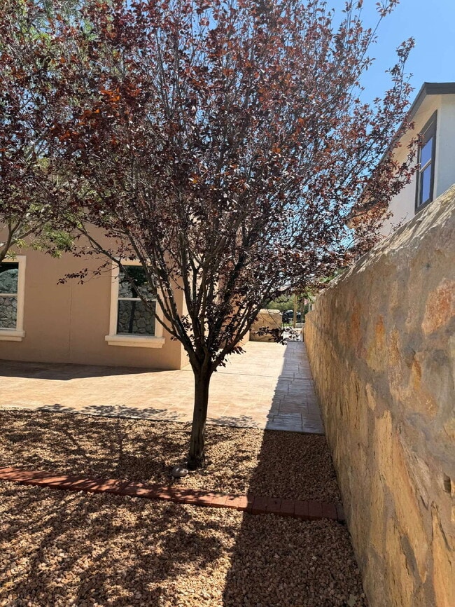 Building Photo - 3737 Tierra Campa Dr