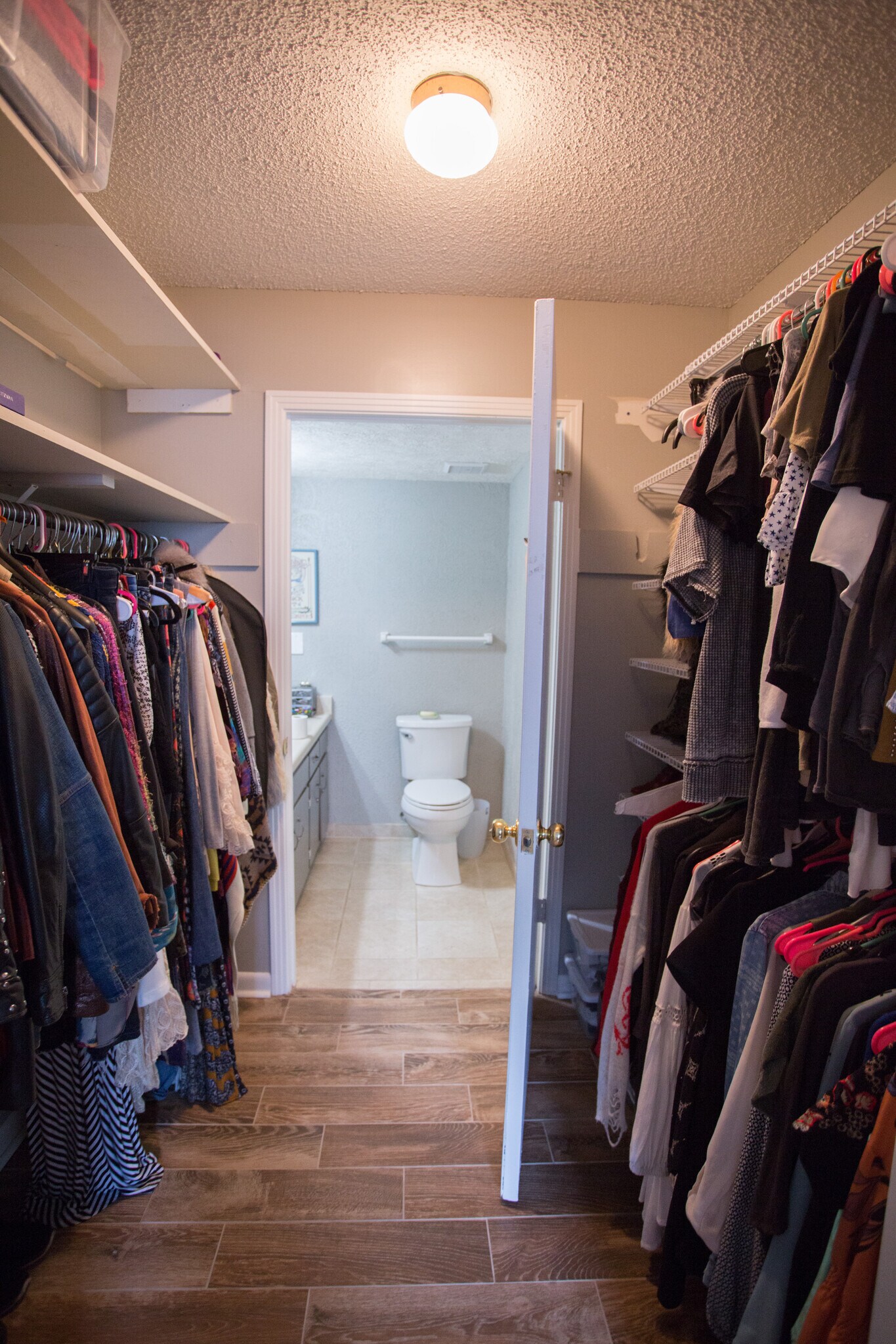 Building Photo - 2929 Selena Dr