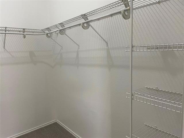 Building Photo - 2808 Appaloosa Ct