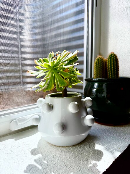 Building Photo - 6025 Urban St