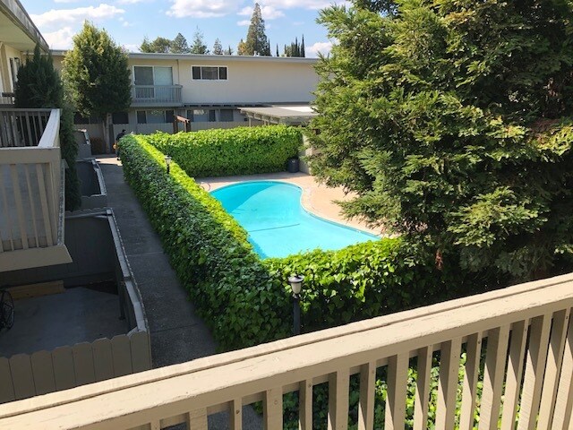 Swimming pool - 3515 Chestnut Ave