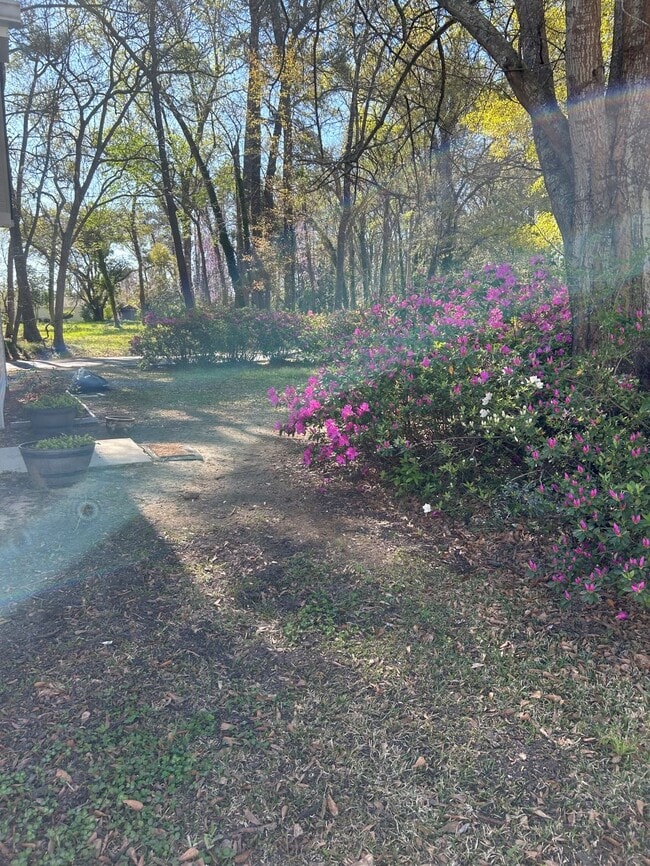 Building Photo - 2099 Oak St